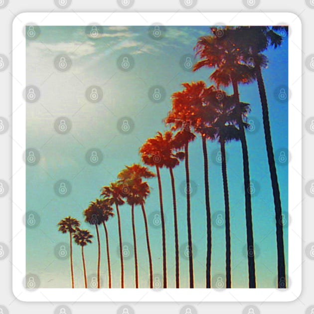 Standing Tall like the Palm Trees in a Summer Sky in San Diego California Sticker by Star58